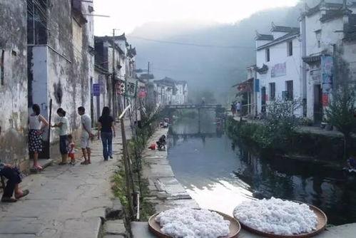 广州头条最美村庄名单,感受田园诗意生活